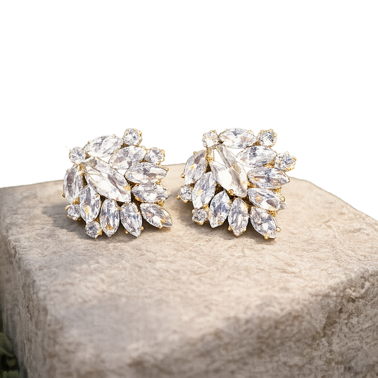 Stone Studs   Earrings