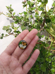 Flat Pressed Resin Preserved Fresh  Epoxy Dried Flower Black Big Ring