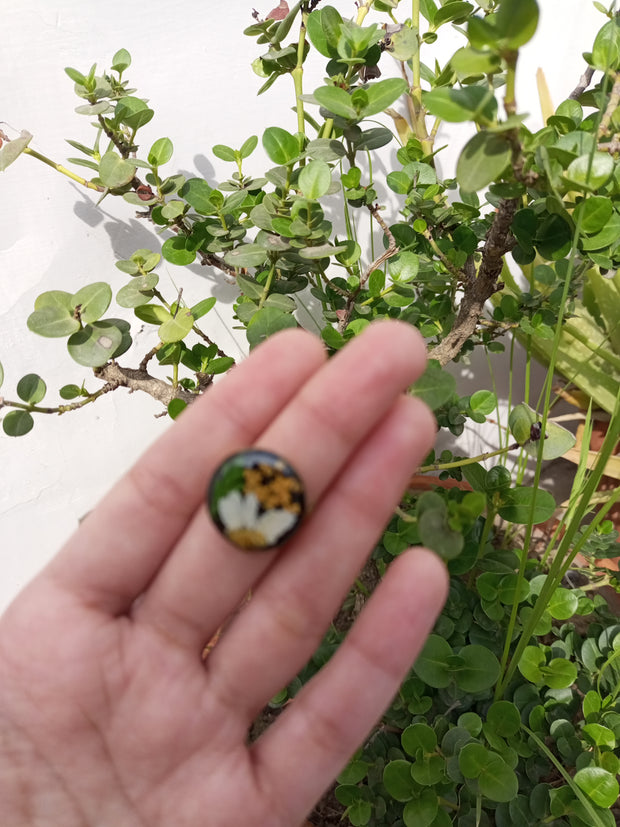 Flat Pressed Resin Preserved Fresh  Epoxy Dried Flower Black Big Ring