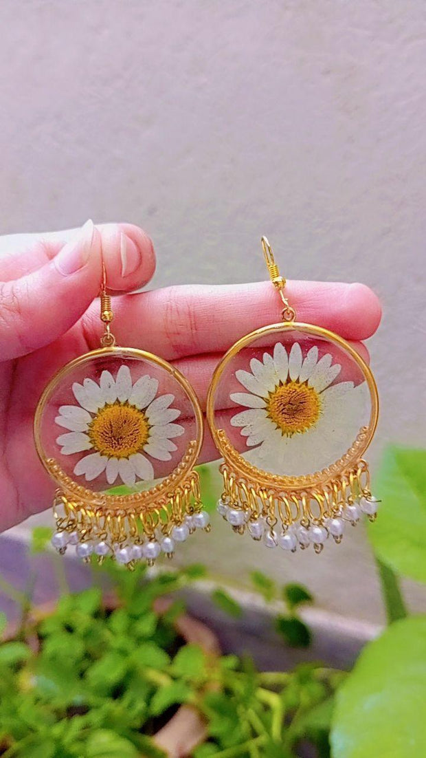 Resin Preserved White Daisy  Preserve Jhumka Earrings