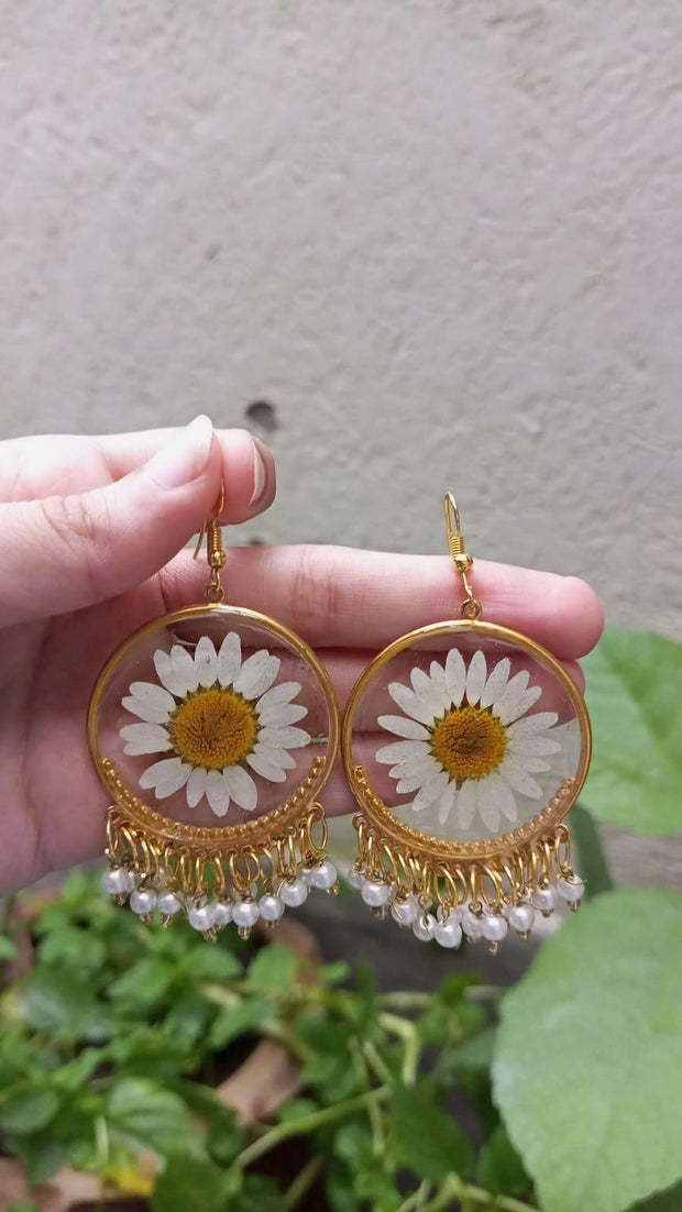 Resin Preserved White Daisy  Preserve Jhumka Earrings