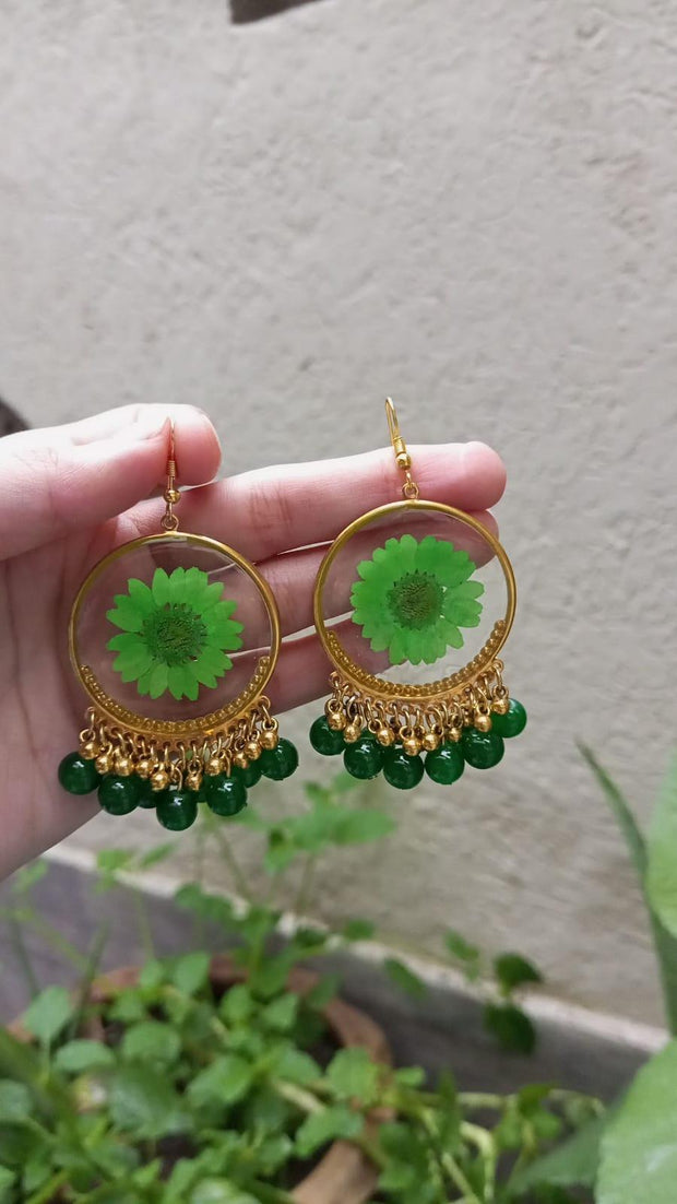 Resin Preserved Green  Daisy  Preserve Jhumka Earrings