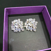 Stone Studs   Earrings