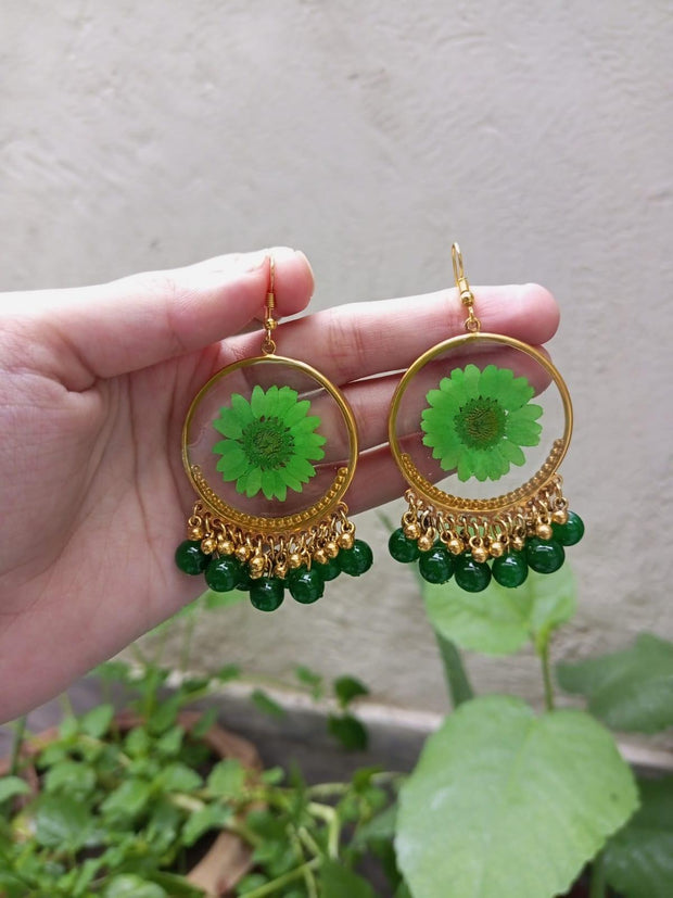Resin Preserved Green  Daisy  Preserve Jhumka Earrings