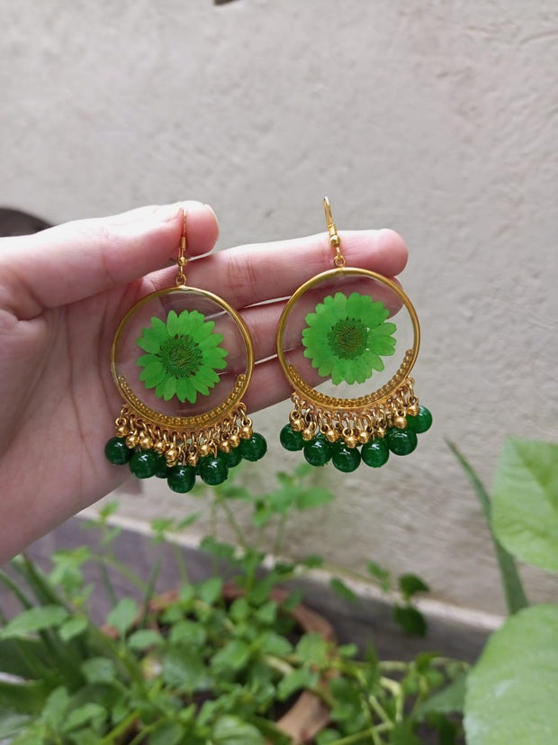 Resin Preserved Green  Daisy  Preserve Jhumka Earrings