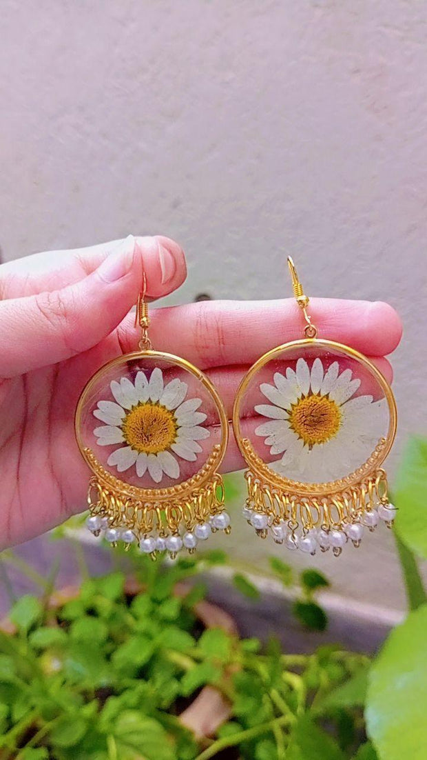 Resin Preserved White Daisy  Preserve Jhumka Earrings