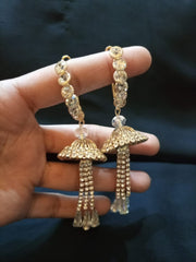 Long Champagne Stone Earrings