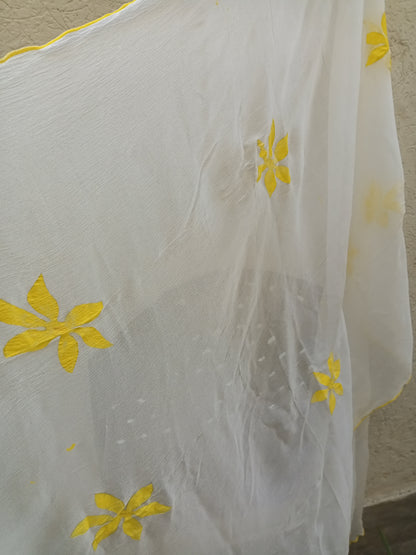 Handpainted pure dupata