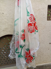Handpainted organza dupata