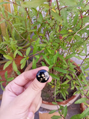 BABAY BRAETH BLACK RING