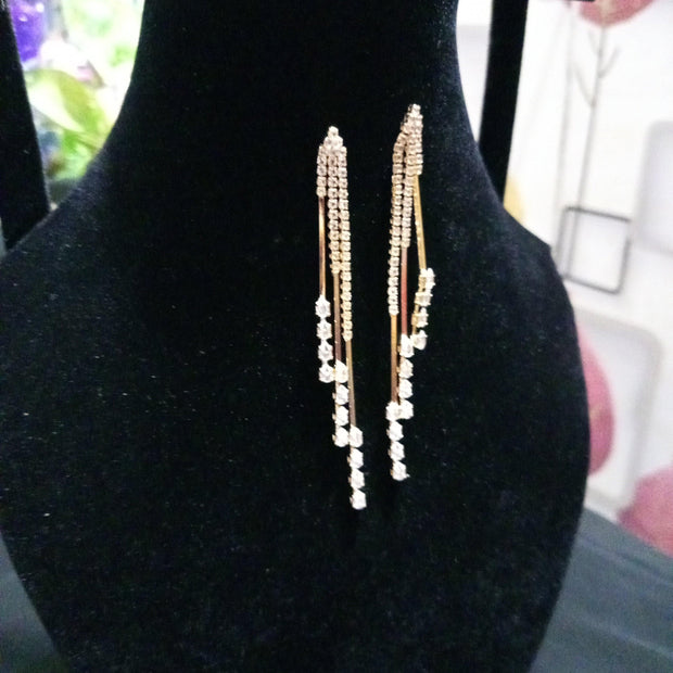 Long stone Earrings